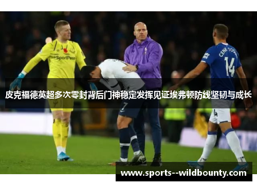 皮克福德英超多次零封背后门神稳定发挥见证埃弗顿防线坚韧与成长